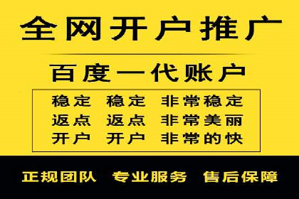 百度竞价策略解析：案例分析及优化建议